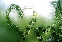 雄鹿双星伤停，球队战力受限