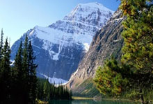 雄鹿双星伤停，球队战力受限