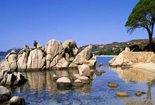 足球圈热门事件曝光，球迷关注度高涨